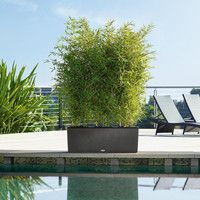 Розумний вазон Lechuza Trio Cottage 30 42 л сірий 15003