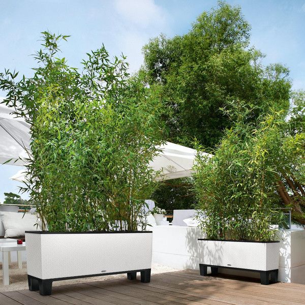 Розумний вазон Lechuza Trio Cottage 30 42 л сірий 15003