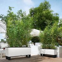 Розумний вазон Lechuza Trio Cottage 30 42 л сірий 15003