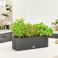 Розумний вазон Lechuza Balconissima 40 7,5 л зелений 13685