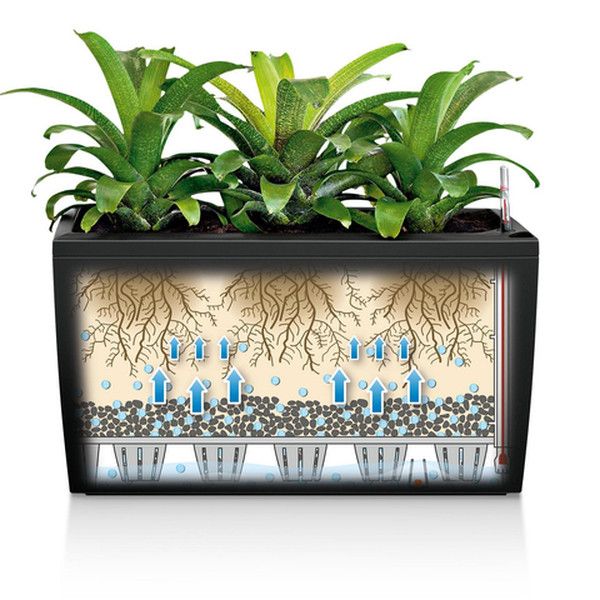 Розумний вазон Lechuza Cararo 75 52 л білий 18800