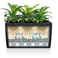 Розумний вазон Lechuza Cararo 75 52 л білий 18800