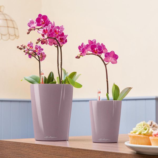 Розумний вазон Lechuza Deltini Premium 14 1,2 л білий 14900