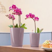 Розумний вазон Lechuza Mini - Deltini 0,4 л сірий 14949