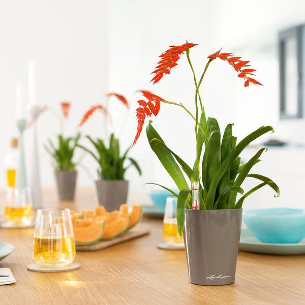 Розумний вазон Lechuza Mini - Deltini 0,4 л червоний 14960