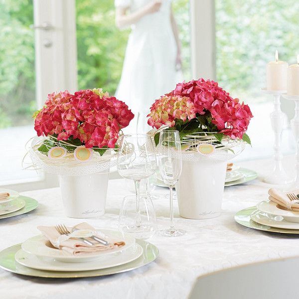 Розумний вазон Lechuza Mini - Deltini 0,4 л червоний 14960