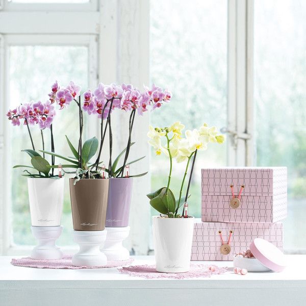 Розумний вазон Lechuza Mini - Deltini 0,4 л червоний 14960