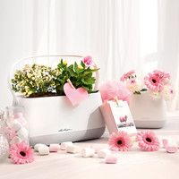 Розумний вазон Lechuza Yula 3,5 л білий 13861