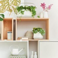 Розумний вазон Lechuza Yula 3,5 л білий 13861