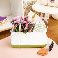 Розумний вазон Lechuza Yula 3,5 л білий 30657783