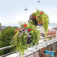 Підвіс для вазону Lechuza Cascadino Color зелений 14999