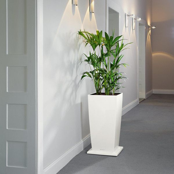 Ролики для вазона Lechuza Cubico 40 чорний 13417