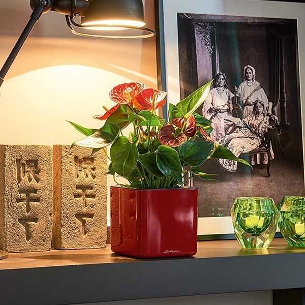 Кашпо Lechuza Cube Glossy 14 яскраво-червоний блискучий 13512