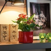 Кашпо Lechuza Cube Glossy 14 яскраво-червоний блискучий 13512