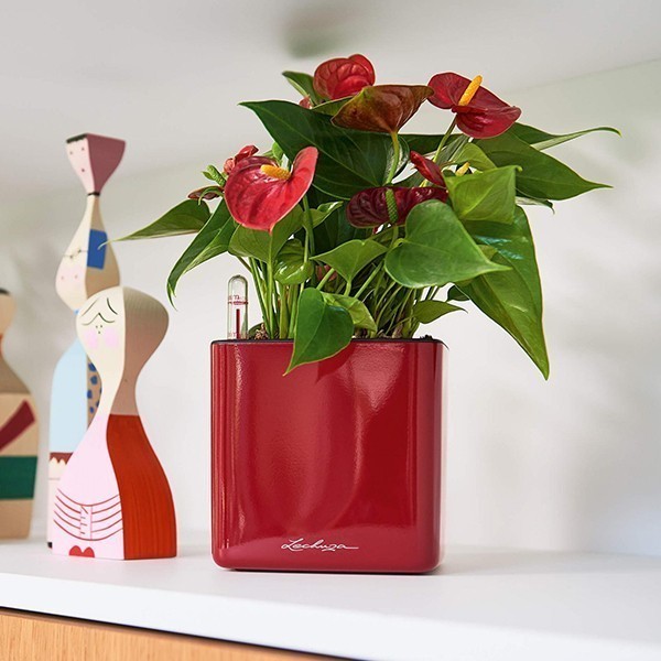 Кашпо Lechuza Cube Glossy 14 яскраво-червоний блискучий 13512