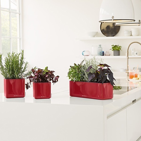 Кашпо Lechuza Cube Glossy 14 яскраво-червоний блискучий 13512