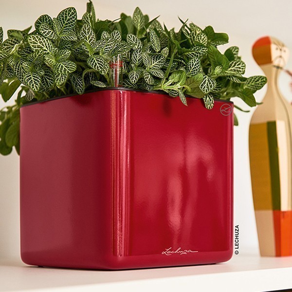 Кашпо Lechuza Cube Glossy 14 яскраво-червоний блискучий 13512