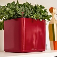 Кашпо Lechuza Cube Glossy 14 яскраво-червоний блискучий 13512