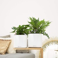 Кашпо Lechuza Cube Glossy 16 білий блискучий 13520