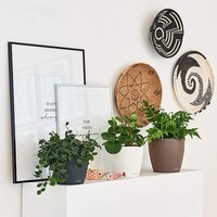 Кашпо Lechuza Classico Color 18 сірий 13263