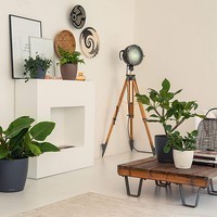 Кашпо Lechuza Classico Color 18 сірий 13263