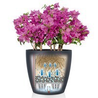 Кашпо Lechuza Classico Color 18 сірий 13263