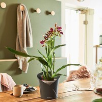 Кашпо для орхідей Lechuza Orchidea 20 сірий матовий 13961