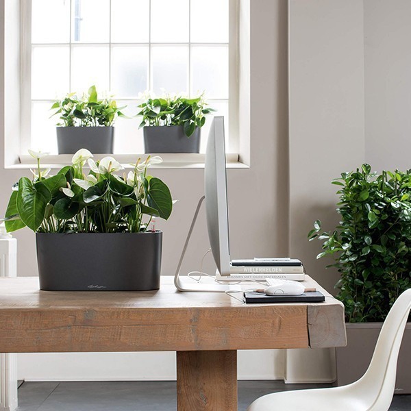 Кашпо Lechuza Delta 20 антрацитовий металік 15563