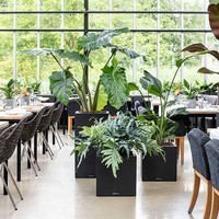 Кашпо Lechuza Canto Stone Low 30 графітово-чорний 13702