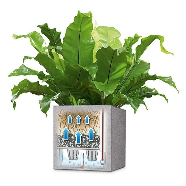 Кашпо Lechuza Canto Stone Low 30 графітово-чорний 13702