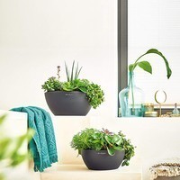 Кашпо Lechuza Cubeto Stone 40 сірий камінь 13840