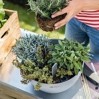 Кашпо Lechuza Cubeto Stone 40 сірий камінь 13840