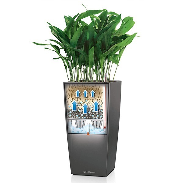 Кашпо Lechuza Cubico 40 сливовий 18221