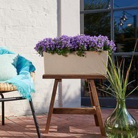 Кашпо Lechuza Balconera Stone 50 пісочно-бежевий 15651