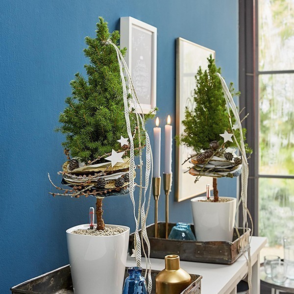 Кашпо Lechuza Mini - Deltini білий блискучий 14950