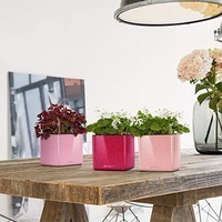 Вазон Lechuza Cube Glossy 14 рожевий 13513