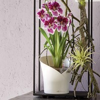 Вазон Lechuza Orchidea 20 білий матовий 13960