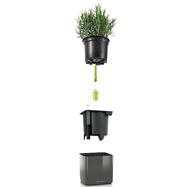 Комплект Lechuza Green Wall Home Kit Glossy 48х6х14 см антрацит 13524