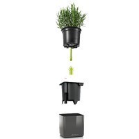 Комплект Lechuza Green Wall Home Kit Glossy 48х6х14 см антрацит 13524