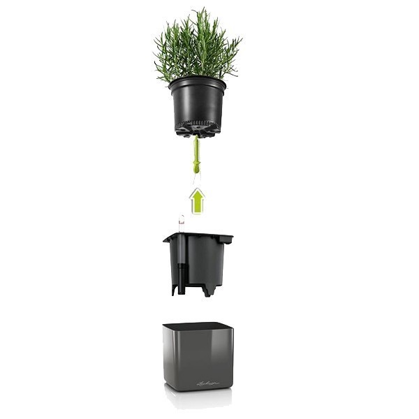 Комплект Lechuza Green Wall Home Kit Glossy 48х6х14 см червоний 13525