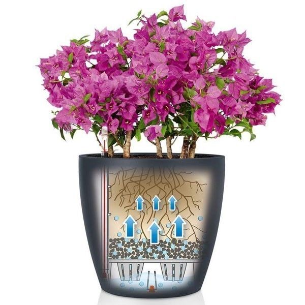 Вазон Lechuza CLASSICO Color 18 мускатний 13262