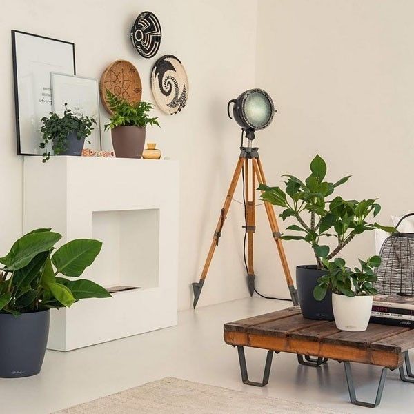 Вазон Lechuza CLASSICO Color 18 мускатний 13262