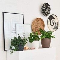 Вазон Lechuza CLASSICO Color 18 мускатний 13262