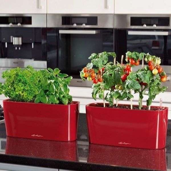 Вазон Lechuza DELTA 20 Білий блискучий 15560