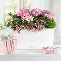 Вазон Lechuza DELTA 20 Білий блискучий 15560