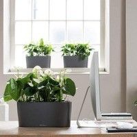 Вазон Lechuza DELTA 20 Білий блискучий 15560