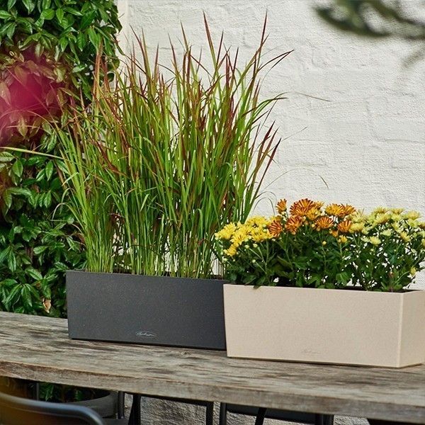 Вазон Lechuza Balconera Stone 50 графітово-чорний 15652