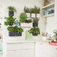 Комплект Lechuza Green Wall Home Kit Color 48х6х14 см білий 13398