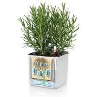 Комплект Lechuza Green Wall Home Kit Color 48х6х14 см білий 13398