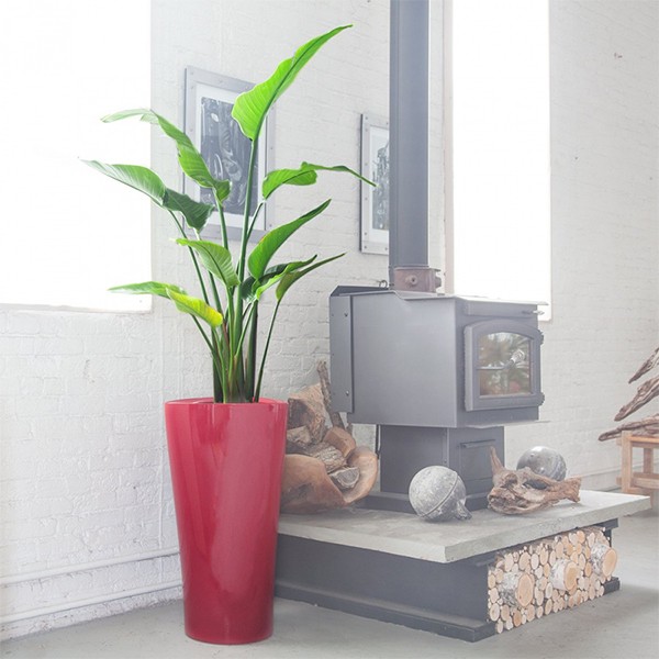 Вазон Lechuza Delta 40 червоний 15539